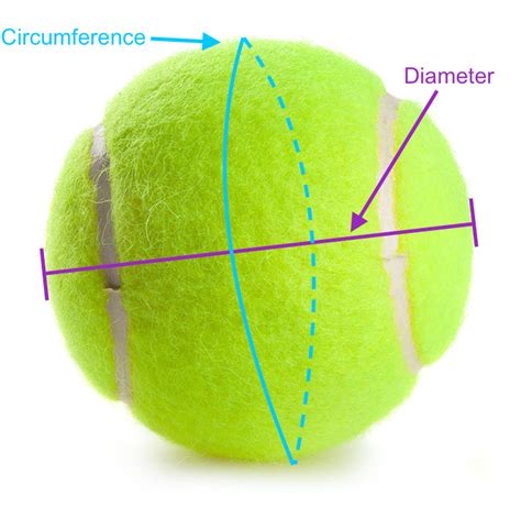 to test the quality of a tennis ball you drop|how to test tennis ball quality.